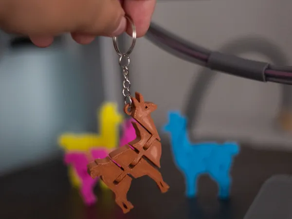 https://makerworld.bblmw.com/makerworld/model/US24b3874bd8e35b/design/2024-10-24_148ad0c52a71d.jpg
