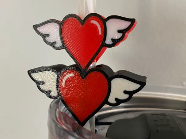 https://makerworld.bblmw.com/makerworld/model/US24b680cc408793/design/2025-01-31_11ec920d9eb0f.jpeg