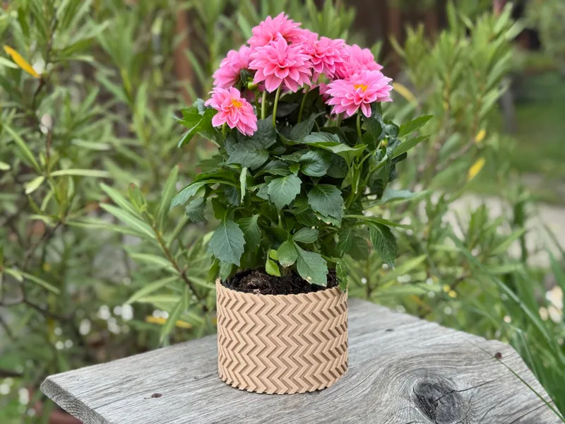 Zigzag Patterned Flower Pot
