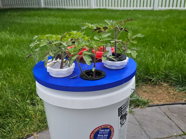 https://makerworld.bblmw.com/makerworld/model/US24b8264f8b9d6d/design/2025-05-23_a7a9c6229cb6d8.jpg