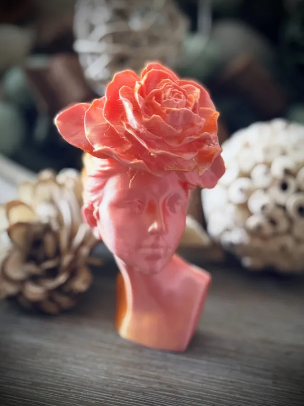 https://makerworld.bblmw.com/makerworld/model/US24b8791bd07a57/design/2025-01-08_wnl7poaj6850.jpg