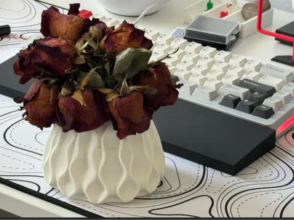 https://makerworld.bblmw.com/makerworld/model/US24b96b0f238e79/design/2024-06-16_433d41b75fdb1.png