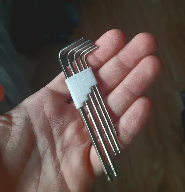 https://makerworld.bblmw.com/makerworld/model/US24bbeb5ea3ad89/design/2024-05-16_d53048211daa5.webp