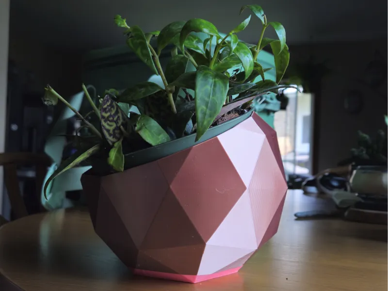 THIN and FAST low poly planter