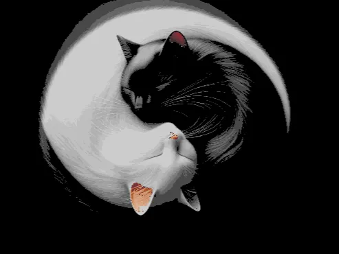 Cats cuddling  Hueforge