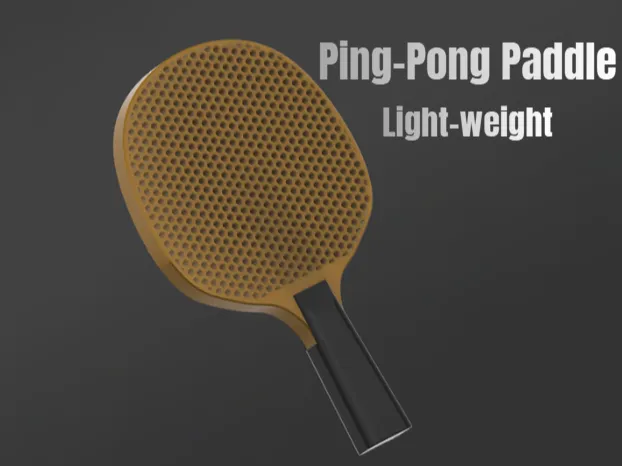 Ping-Pong Paddle