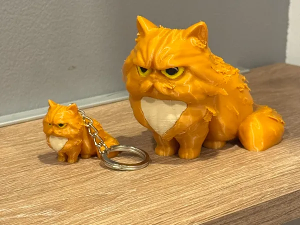 https://makerworld.bblmw.com/makerworld/model/US24ca20a9762917/design/2025-07-05_cd3738d669a5c.jpeg