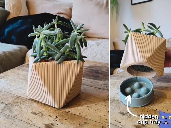 https://makerworld.bblmw.com/makerworld/model/US24cb13b1784f81/design/2024-12-19_544b6d635dc29.jpg