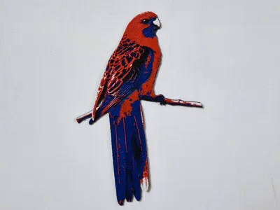 Crimson Rosella Wall Art