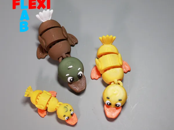 https://makerworld.bblmw.com/makerworld/model/US24cdb1d03dec2c/design/2025-04-30_7f468117a817c8.jpg