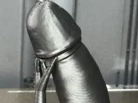 Réplique anatomique adulte 18 cm — photo 2
