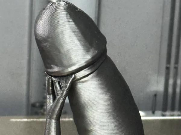 Réplique anatomique adulte 18 cm