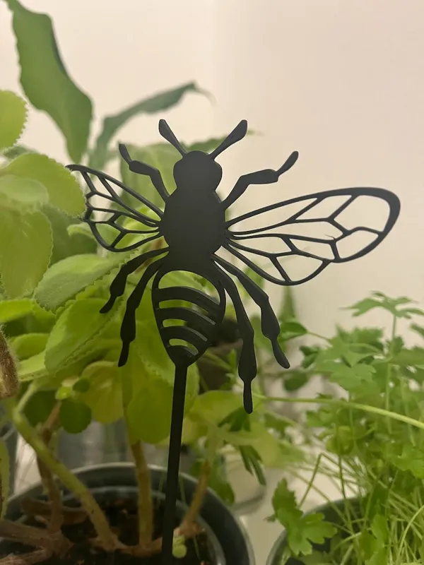 https://makerworld.bblmw.com/makerworld/model/US24d6c42beb0e01/design/2024-01-11_4819a4632098d.jpg