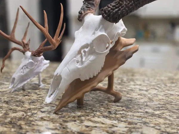 https://makerworld.bblmw.com/makerworld/model/US24dfdce79dd390/design/f40184f6a1880f5e.jpg