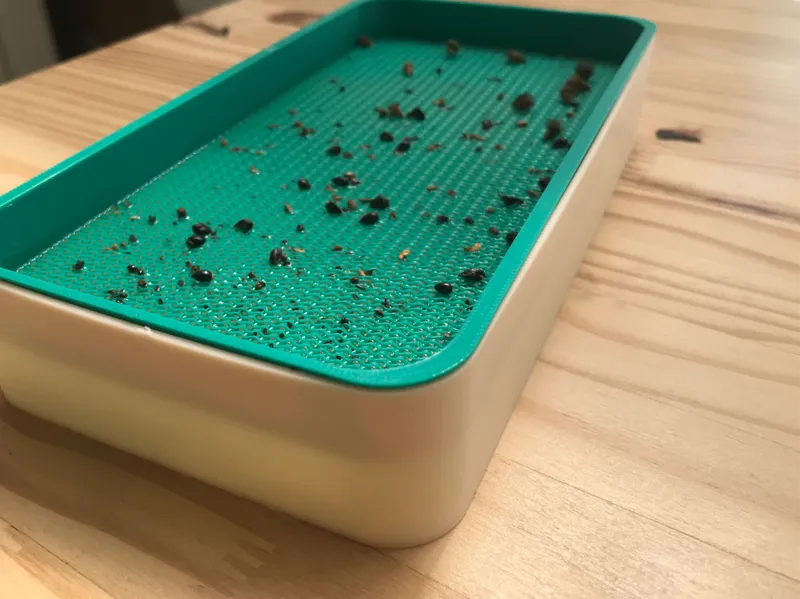 Hydroponic seeder 10x20