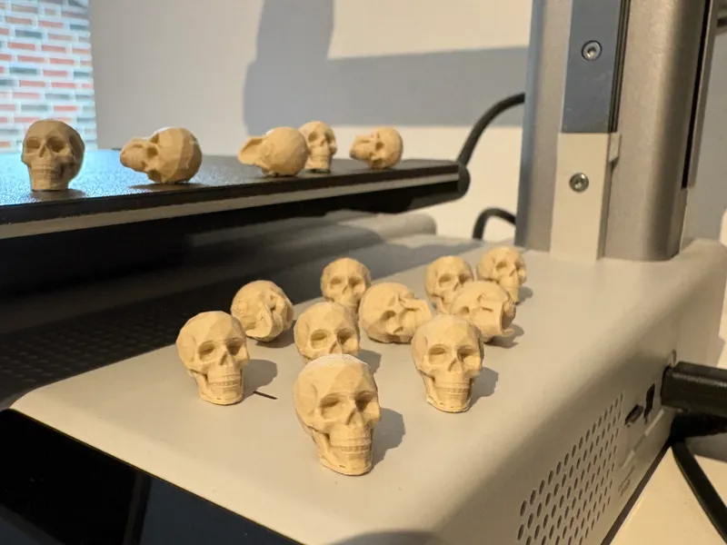 Mini Skulls