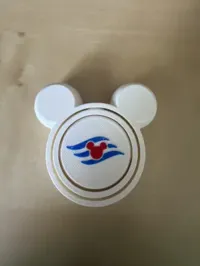 with Disney Cruise Line Logo