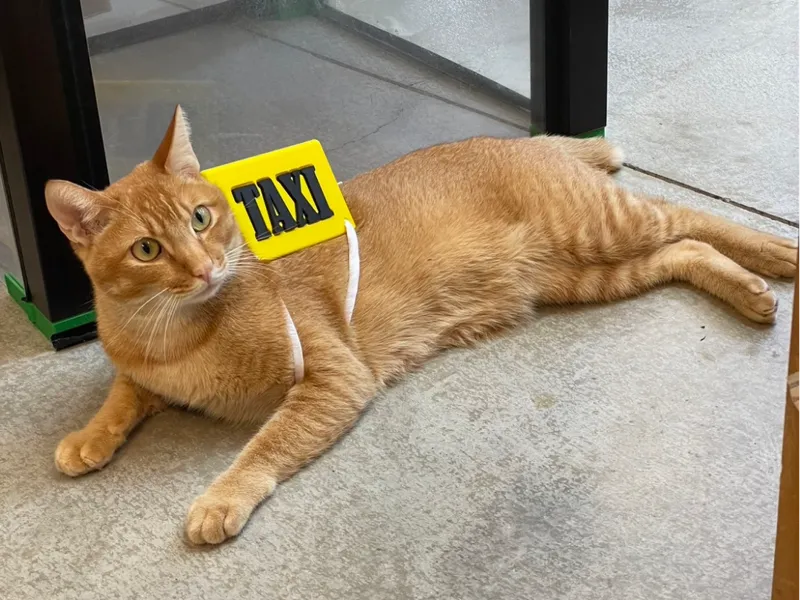 Taxi Sign