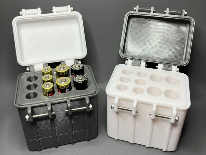 AA & AAA Battery Storage Case