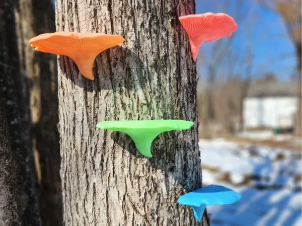 https://makerworld.bblmw.com/makerworld/model/US24f3e04d85c913/design/2025-03-11_37c89748b0cf.jpg