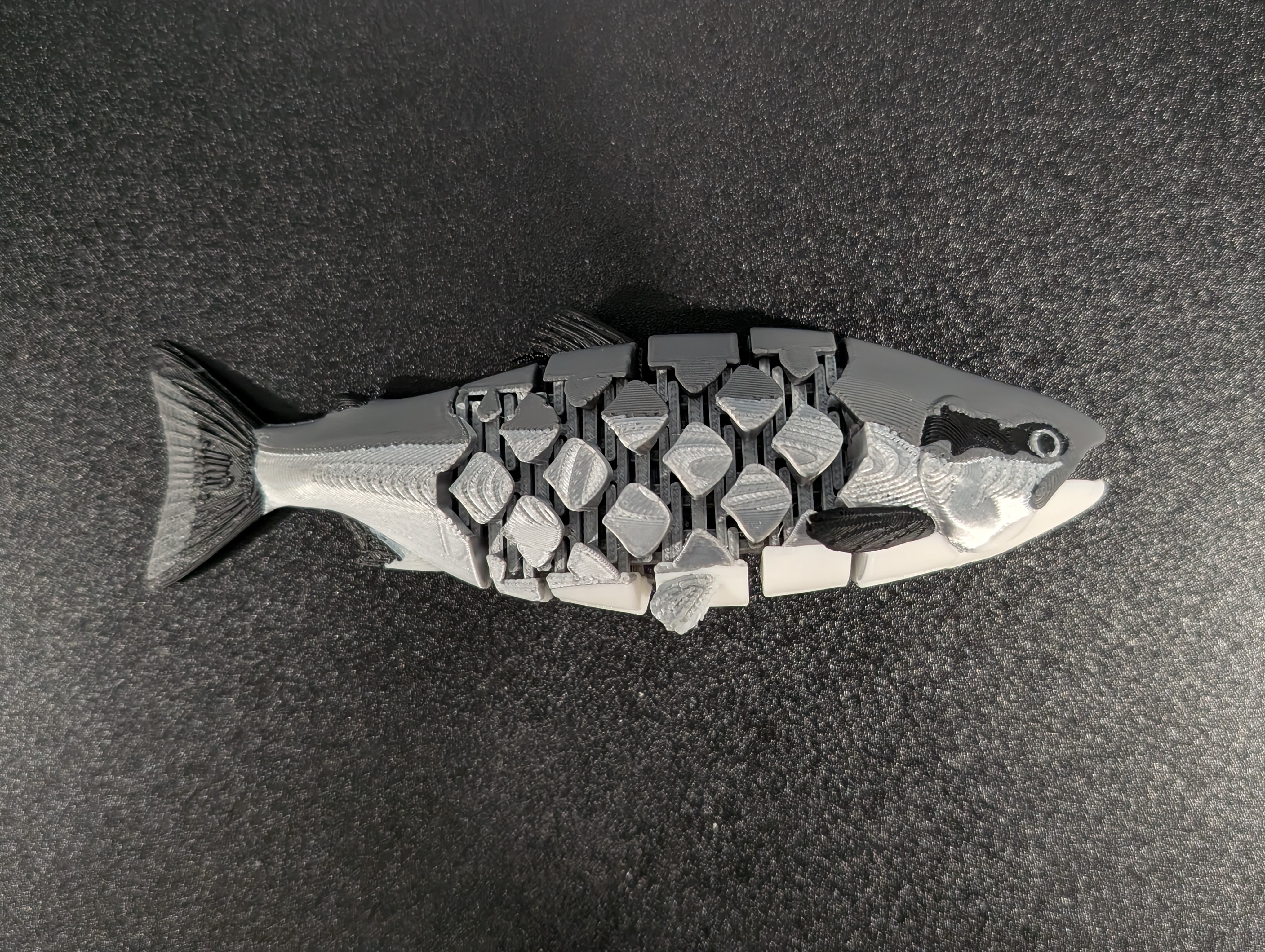 Articulated Sockeye Salmon (2 forms!) - 1