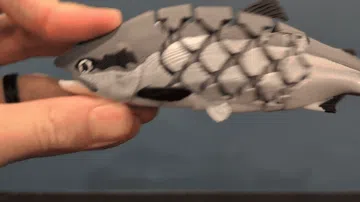 Modelo para impresión 3D: Articulated Sockeye Salmon (2 forms!) — vista de referencia 5