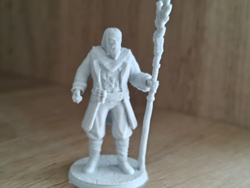DnD goliath druid mini 25mm