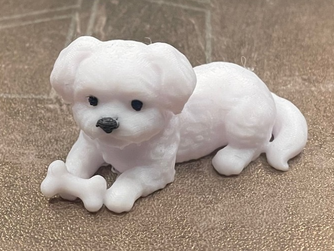 Mille – Cute Maltese Dog with Bone