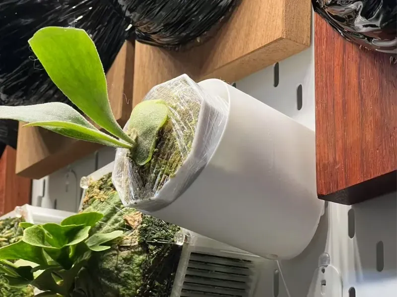 宜家洞洞板植物杯架（宜家洞洞板4.5mm/仿宜家洞洞板1-2mm）