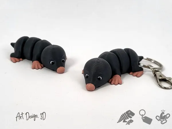 https://makerworld.bblmw.com/makerworld/model/US250c0446a17f8d/design/2025-09-16_71ad859fd2e25.jpg
