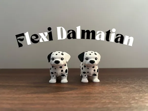 https://makerworld.bblmw.com/makerworld/model/US251af264600af3/design/41658e2edfe57a8f.png
