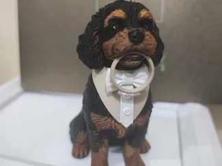 Pet casamento