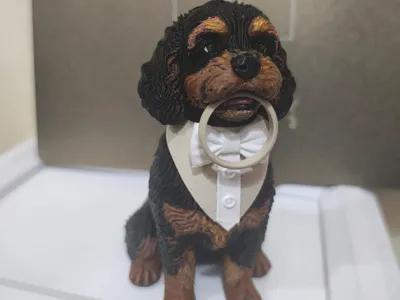 Pet wedding