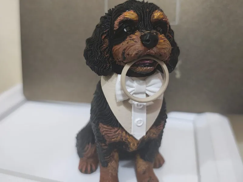 Pet casamento