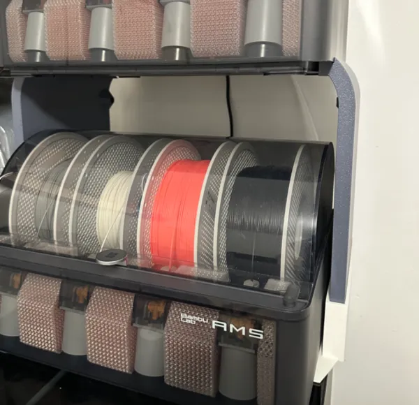 https://makerworld.bblmw.com/makerworld/model/US251b1f16a5d3d2/design/2024-12-09_286021a6adb22.jpeg
