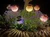 Poppy Solar Stake Light