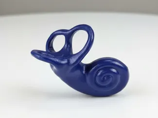 三半規管モデル(教育用 3Dモデル)