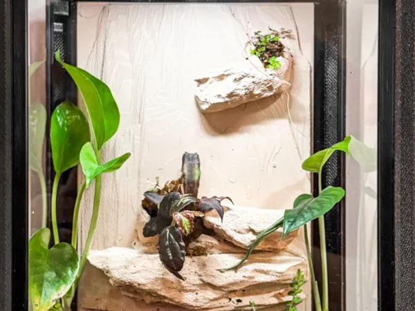 https://makerworld.bblmw.com/makerworld/model/US2521e03ec96c26/design/78b24f32c2ab3af1.jpg