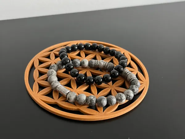 https://makerworld.bblmw.com/makerworld/model/US252261972dfb74/design/2025-03-07_1ca22590df85f.jpg