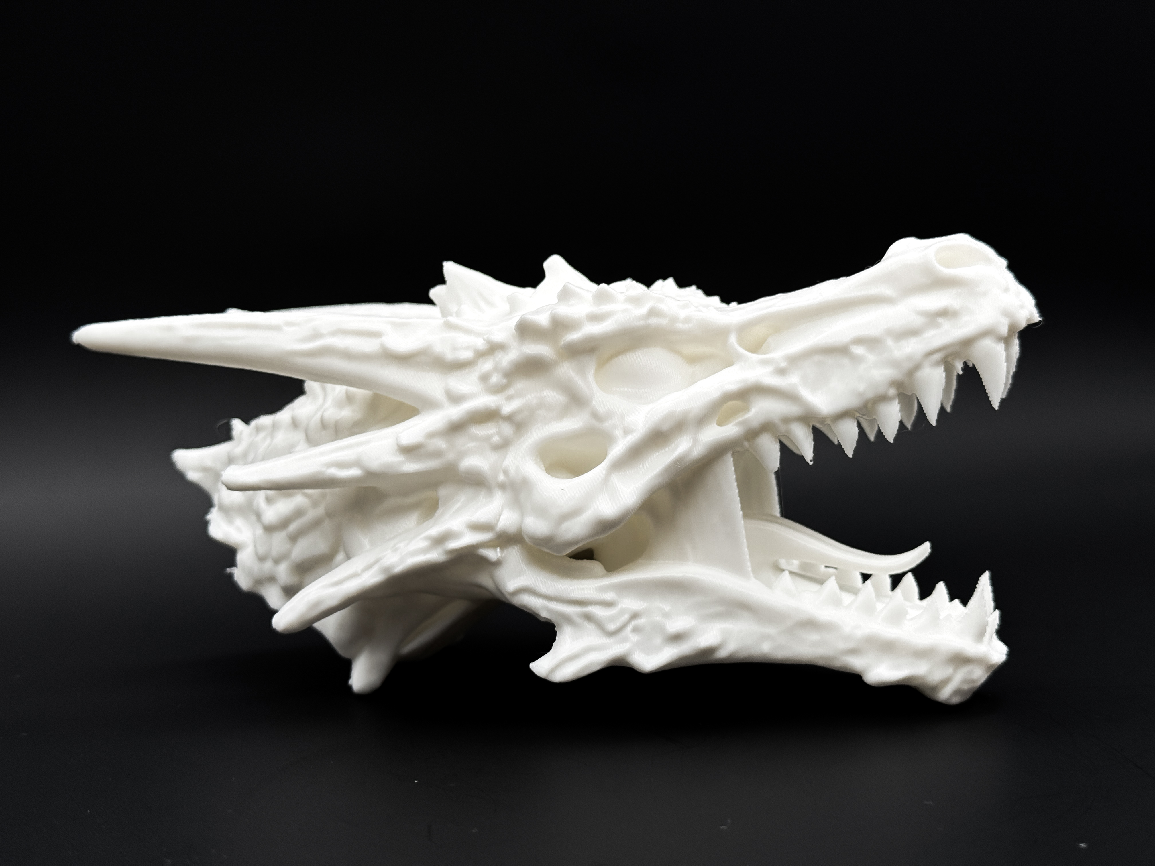 化石骨架| 收藏夹- MakerWorld：下载免费3D模型