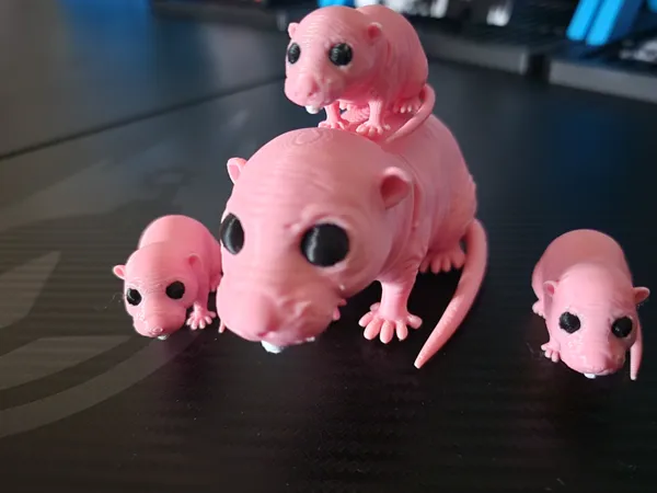 https://makerworld.bblmw.com/makerworld/model/US252a02c178fcc/design/2025-02-23_65b773cdf1a11.jpg