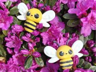 Bee magnets