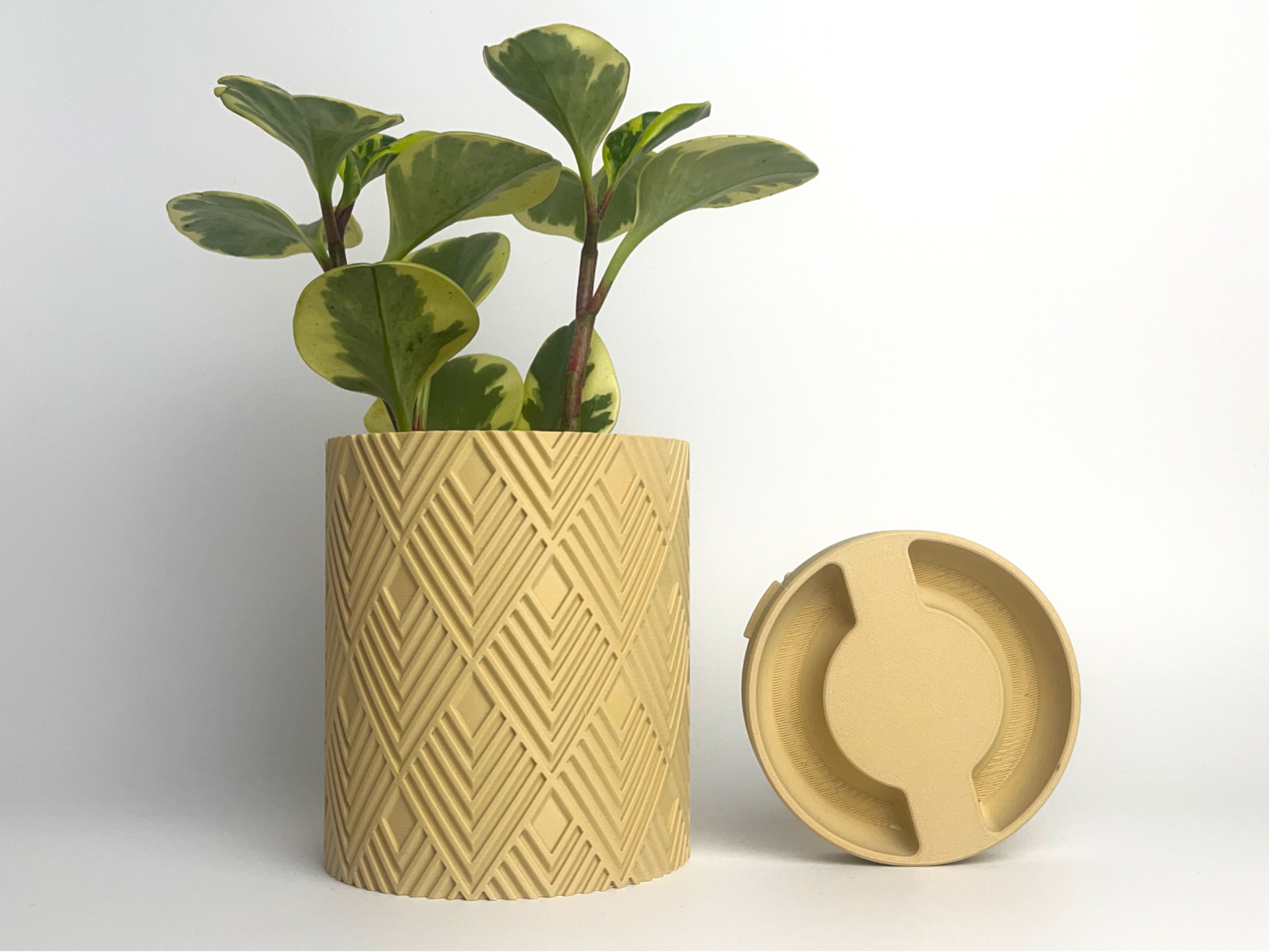 Planter with Hidden Drip Tray