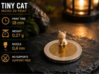 0.08mm layer, 2 walls, 15% infill