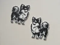 Double Sided