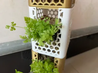 可堆叠蕨类植物种植篮