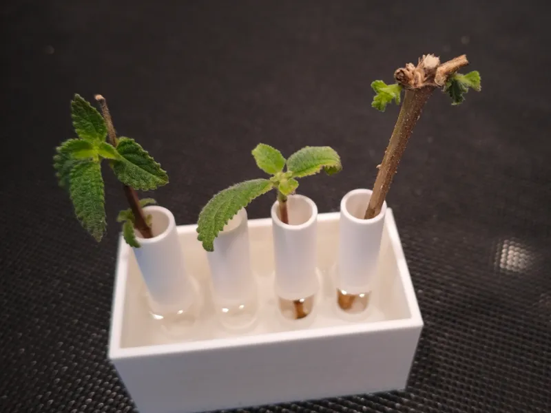 Simple root propogator