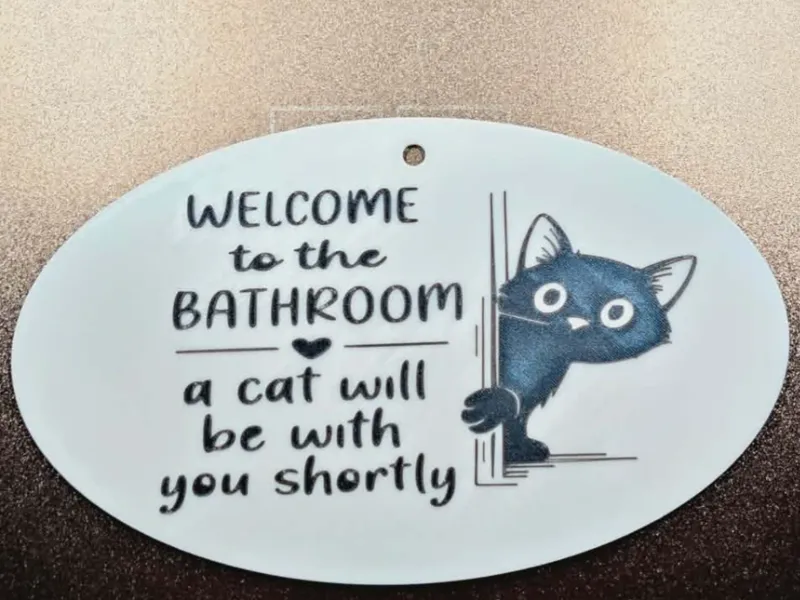 Meow-nitoring in Progress