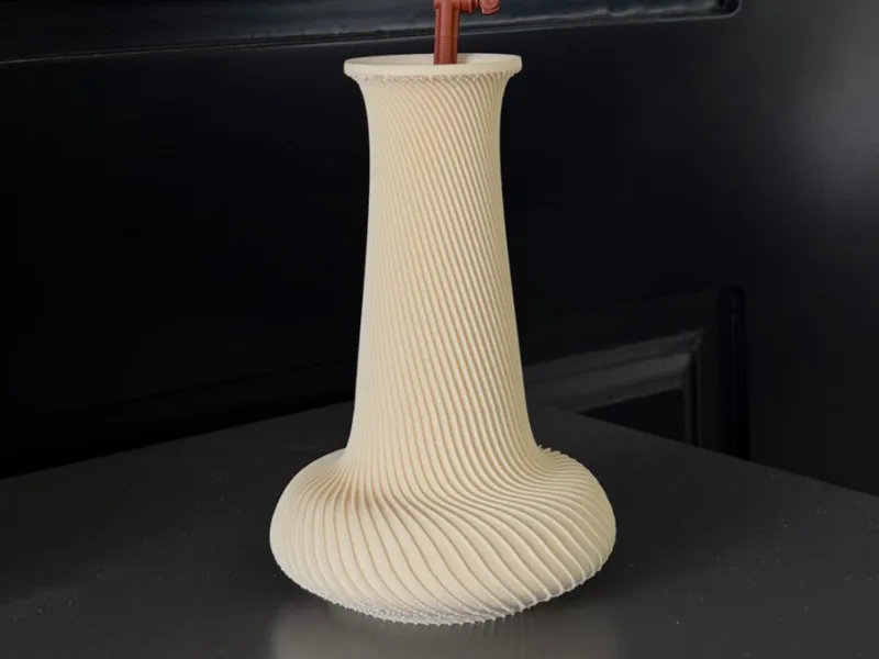 Vase for Long Stem Flowers | Tall Neck Vase