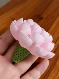 大/小号的带花托版本(AMS)